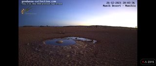 砂漠に設置された人工水飲み場を見守るライブカメラ配信が癒されると話題