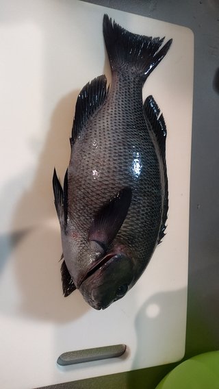 &#x{11:F8E2};なんでもいｰから&#x{11:F8E2};