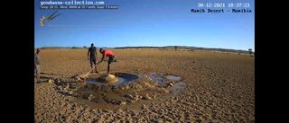 砂漠に設置された人工水飲み場を見守るライブカメラ配信が癒されると話題