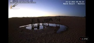 砂漠に設置された人工水飲み場を見守るライブカメラ配信が癒されると話題