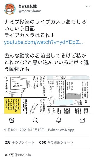 砂漠に設置された人工水飲み場を見守るライブカメラ配信が癒されると話題