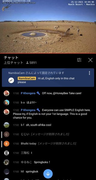 砂漠に設置された人工水飲み場を見守るライブカメラ配信が癒されると話題