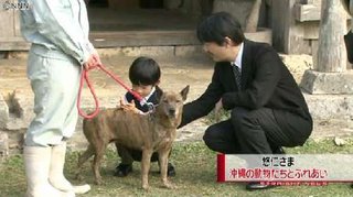 悠仁さまがいるのに愛子さま天皇説言う人