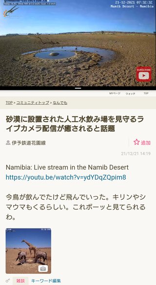 砂漠に設置された人工水飲み場を見守るライブカメラ配信が癒されると話題