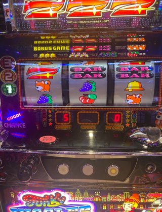 暇だから初日の出を見に行こうかな(´･ｪ･｀)