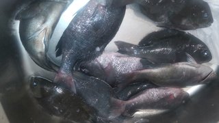  朝5時に願い事を断言すると叶います*+:｡.｡:+* ﾟ ゜ﾟ *