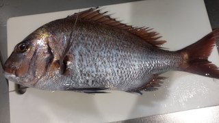 &#x{11:F8E2};なんでもいｰから&#x{11:F8E2};