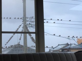 &#x{11:F8E2};なんでもいｰから&#x{11:F8E2};