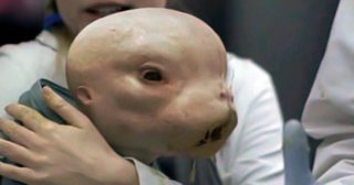 人間と動物のハイブリッド 