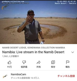 砂漠に設置された人工水飲み場を見守るライブカメラ配信が癒されると話題