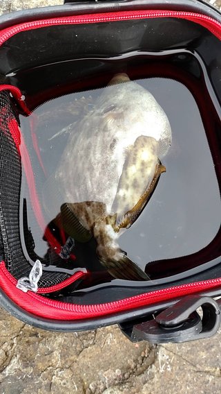 &#x{11:F8E2};なんでもいｰから&#x{11:F8E2};