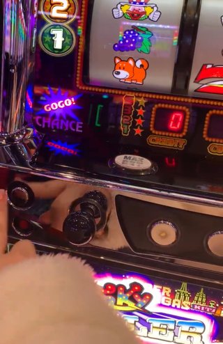 暇だから初日の出を見に行こうかな(´･ｪ･｀)