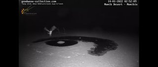 砂漠に設置された人工水飲み場を見守るライブカメラ配信が癒されると話題