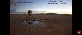 砂漠に設置された人工水飲み場を見守るライブカメラ配信が癒されると話題