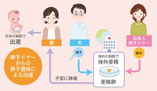 卵子提供のドナー、1回で報酬60万円も貰えるらしい