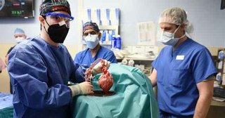 遺伝子操作したブタの心臓を移植　世界初、米の57歳男性に