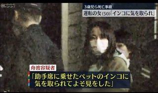 3歳男児と39歳女性を轢き殺した50歳女「助手席に乗せていたインコとじゃれていた｣