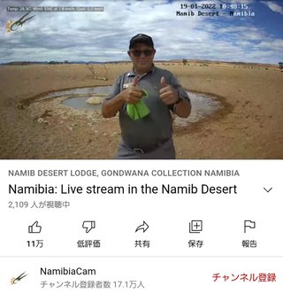 砂漠に設置された人工水飲み場を見守るライブカメラ配信が癒されると話題