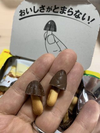 きのこの山の中にスパイ発見か？いったい何を探りにきたのか