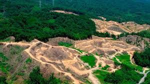 鳥インフル詐欺劇   5G 高周波  メガソーラーww 