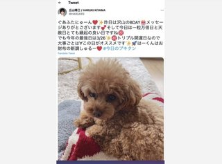 剛力彩芽と熱愛報道の丘山晴己、SNSでの“大き過ぎるギャップ”と“意外な職歴”