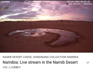 砂漠に設置された人工水飲み場を見守るライブカメラ配信が癒されると話題