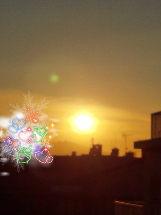 鹿児島 【総合】