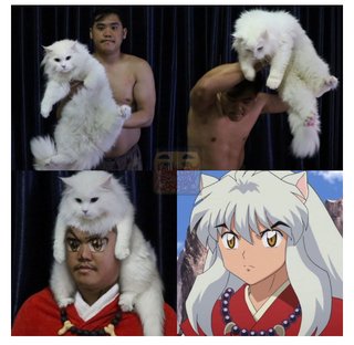 うる星やつら、らんま、犬夜叉、めぞん一発、1番面白いのは？