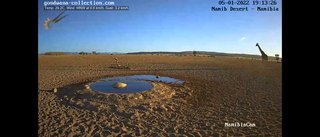 砂漠に設置された人工水飲み場を見守るライブカメラ配信が癒されると話題