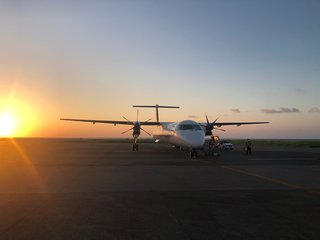 &#x{11:F8E2};なんでもいｰから&#x{11:F8E2};