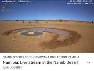 砂漠に設置された人工水飲み場を見守るライブカメラ配信が癒されると話題