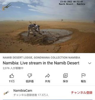 砂漠に設置された人工水飲み場を見守るライブカメラ配信が癒されると話題