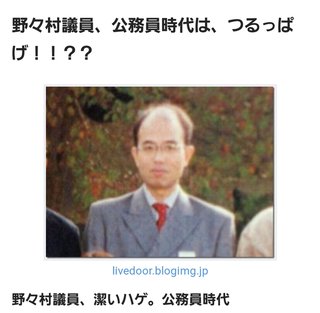 野々村議員に抱かれたいです。