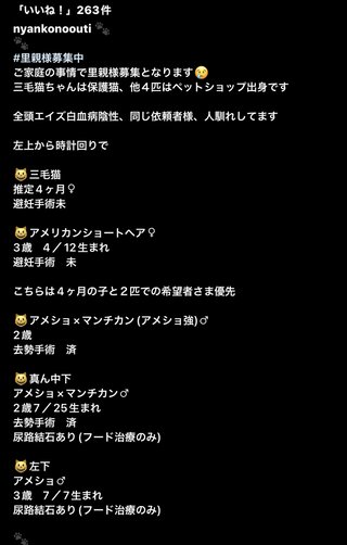 いしだ壱成の嫁 飯村貴子