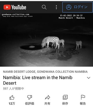 砂漠に設置された人工水飲み場を見守るライブカメラ配信が癒されると話題