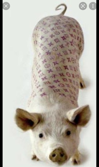 ヒルナンデス!総合