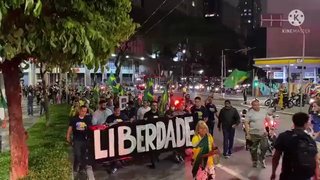 ブラジルのパウリスタ通りで自由の回復を願う市民達がワクチンに反対して行進している
