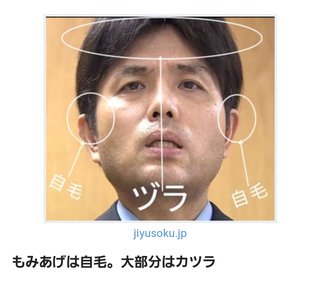 野々村議員に抱かれたいです。