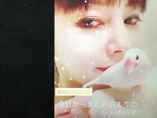 NEW    松居一代様を斬る