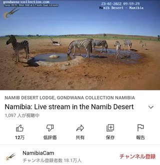 砂漠に設置された人工水飲み場を見守るライブカメラ配信が癒されると話題