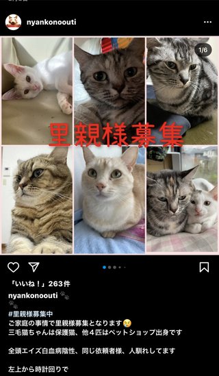 いしだ壱成の嫁 飯村貴子