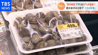 「食っていくため」「何十年も続いてきた」アサリの産地偽装、漁協幹部が実態告白 