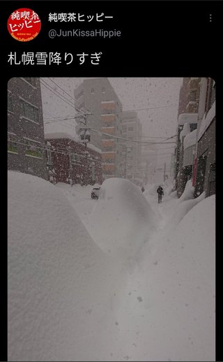 札幌とかいうところが雪やばい