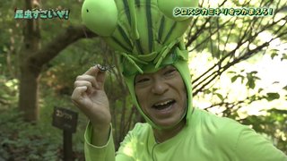 香川照之プロデュースの昆虫アニメ『インセクトランド』泊明日菜、花江夏樹らメインキャスト発表。