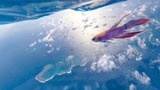 地球ドームの外の宇宙には魚が住んでいる