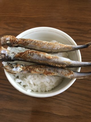 ダラ奥の昼食なに?