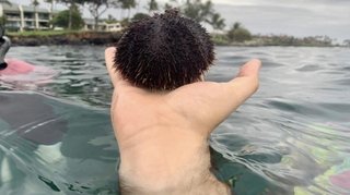 ギターが一瞬ケツに見えるけど一度ギターと認識したら二度とケツに見えないあの画像