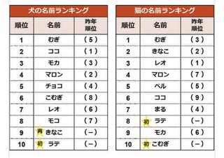 生まれてくる娘の名前に「小麦」