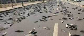 地球ドームの外の宇宙には魚が住んでいる