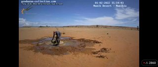 砂漠に設置された人工水飲み場を見守るライブカメラ配信が癒されると話題